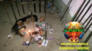 BRUJO CURANDERO DE LA SELVA11