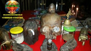 BRUJO CURANDERO DE LA SELVA12