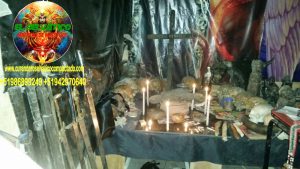 BRUJO CURANDERO DE LA SELVA2