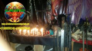 BRUJO CURANDERO DE LA SELVA20