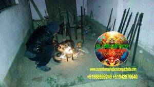 BRUJO CURANDERO DE LA SELVA22