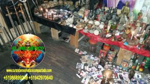 BRUJO CURANDERO DE LA SELVA27