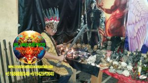 BRUJO CURANDERO DE LA SELVA29