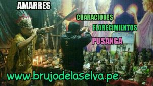 BRUJO CURANDERO DE LA SELVA7