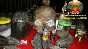 BRUJO CURANDERO DE LA SELVA8