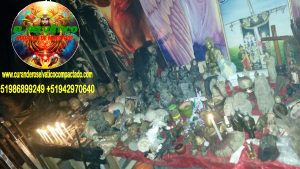 BRUJO CURANDERO DE LA SELVA9